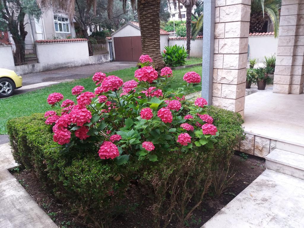 Bravo Apartmani Budva Extérieur photo